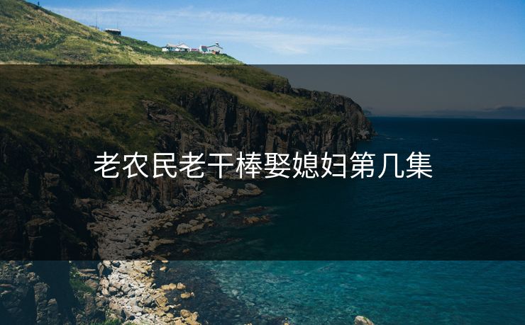 老农民老干棒娶媳妇第几集