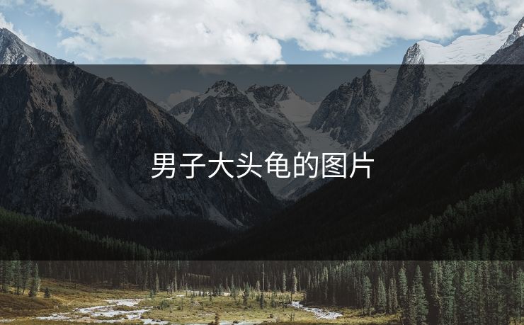 男子大头龟的图片